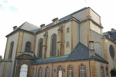  la dcouverte des animaux du parc d'un ancien vch  Metz