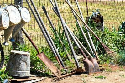  la dcouverte des jardins partags  Carvin