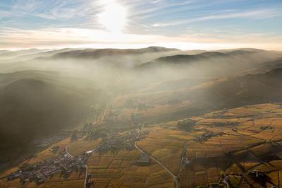  la dcouverte des vins du Beaujolais  Bordeaux