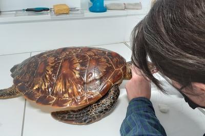 A La Rencontre Des Mtiers Du Patrimoine Scientifique  Orlans