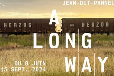 A Long Way de Lydie Jean-Dit-Pannel  Amilly