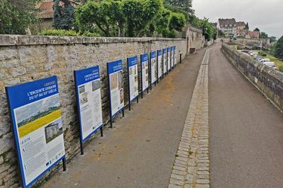 L'enceinte urbaine de Langres du IIIe au XXe sicle 