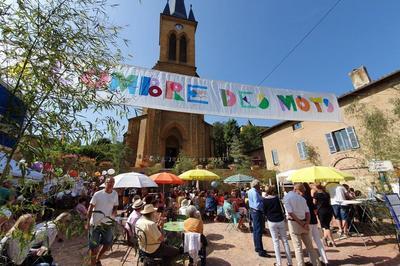 Festival  l'ombre des mots 2024