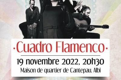 Cuadro Flamenco  Albi