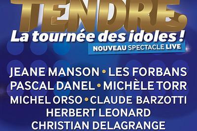 Age Tendre -La Tournee Des Idoles !  Dijon