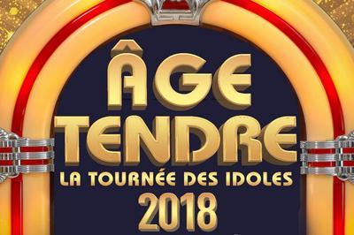 Age Tendre - La Tournee Des Idoles !  Rouen