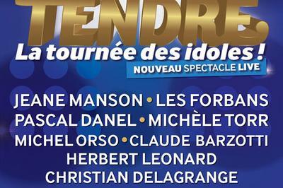 Age Tendre La Tournee Des Idoles Nouveau Spectacle 100% Live  Paris 15me