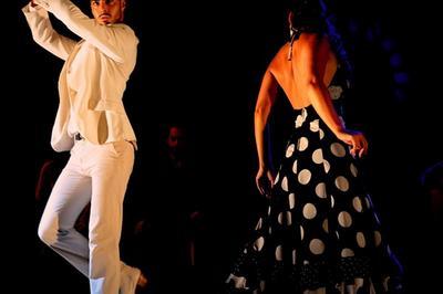 Al Andalus Flamenco Nuevo - Fuego  Cannes