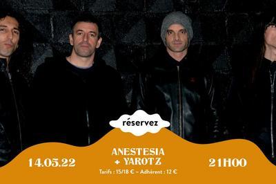 Anestesia  Biarritz
