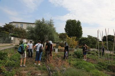 Animation autour de la rcolte de graines, jardin Vavilov, par la Direction de l'Environnement  Epinay sur Seine