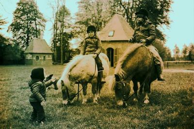 Animation jeune public : dcouverte du jardin  poney  Bois Guilbert