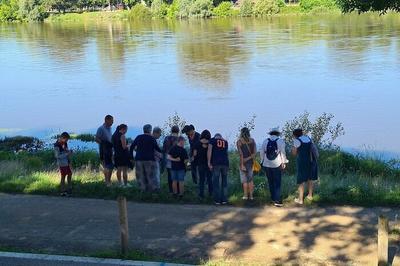 Animation  patrimoine bti et biodiversit   Cosne Cours sur Loire