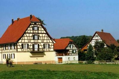 Arpentez avec un guide un village alsacien charmant et son patrimoine historique  Brinckheim