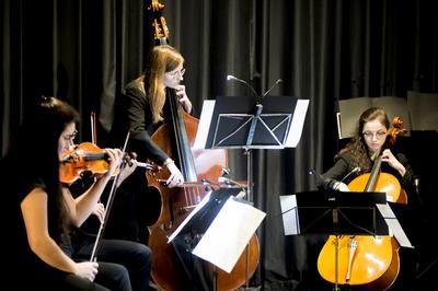 Assistez  un concert de musique classique  Toulouse