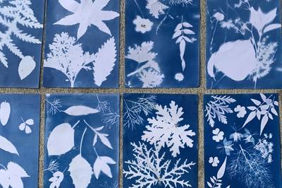 Atelier cyanotype  Chemill-en-Anjou