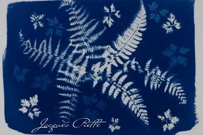 Atelier cyanotype  Saint Jean le Thomas