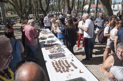 Atelier de dgustation de plats catalans  Bompas