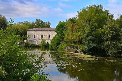 Atelier de fabrication de savon traditionnel dtachant au moulin d'Eymet