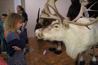 Atelier enfants  La vie au temps de la Prhistoire   Autun