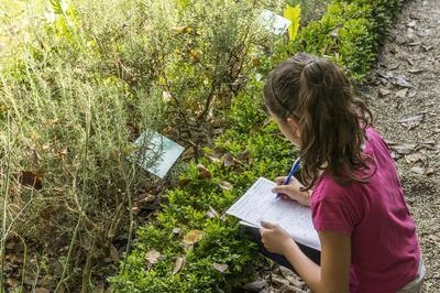 Atelier libre 6-12 ans : Carnets de rveries  Chambery