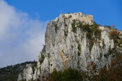 Au carrefour des chemins de l'histoire  Roquefixade