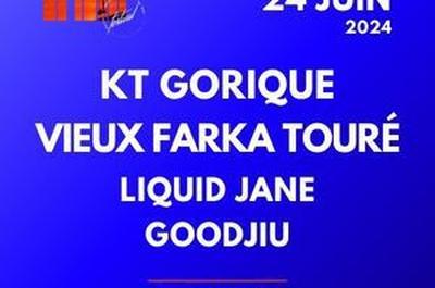 Kt Gorique, Vieux Farka Toure et Liquid Jane  Marseille