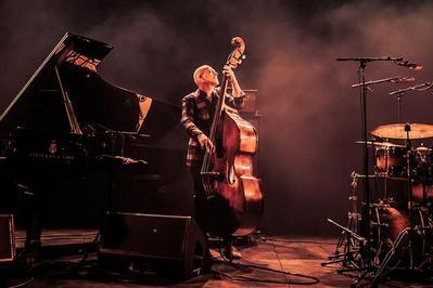 Avishai Cohen Trio  Dieppe