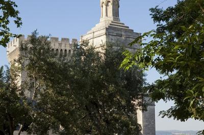 Balade Best Of Avignon - Spcial Nouveaux Arrivants - Par Avignon Tourisme