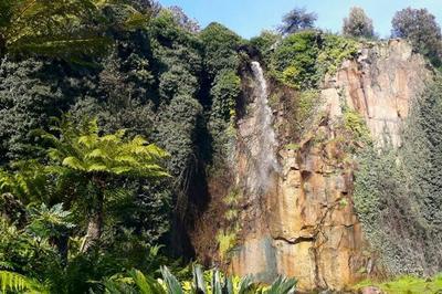 Balade botanique : Le voyage des plantes  Nantes