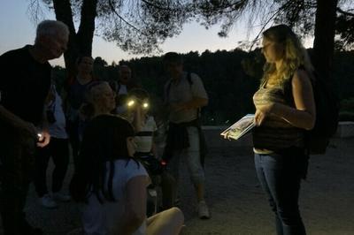 Balade crpusculaire pour observer les chauves souris  Saumane  Saumane-de-Vaucluse