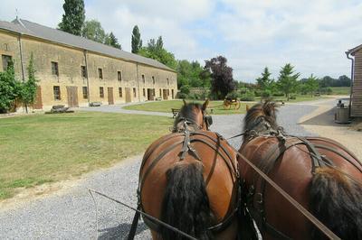 Balade en calche et visite d'exposition  Launois sur Vence