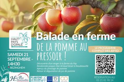 Balade en ferme, de la pomme au pressoir !  Bezinghem