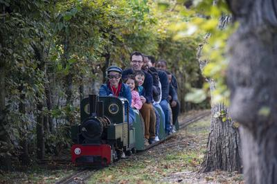 Balade en jardin en train  vapeur  Rambouillet