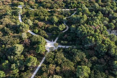 Balade et Ateliers avec l'Association Secrets de la Nature  Beziers