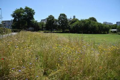 Balade immersive dans la gestion d'une ville nature et nourricire  Villeneuve d'Ascq