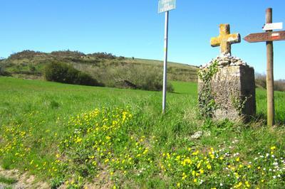 Balade :  Paysages et gologie au fusain   Hounoux