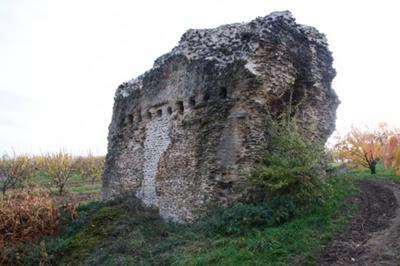 Balade sur l'Aqueduc Romain du Gier  Genilac