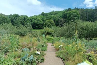 Bestioles et Cie : Un espace d'observation au c'ur du jardin !  Treffort Cuisiat