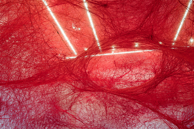 Beyond Consciousness, Exposition Chiharu Shiota  Aix en Provence