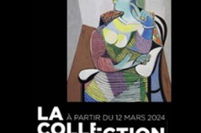 Billet Collection et Exposition, Revoir Picasso  Paris 3me