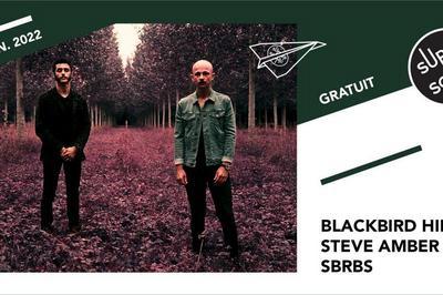 Blackbird Hill - SBRBS - Steve Amber à Paris 12ème