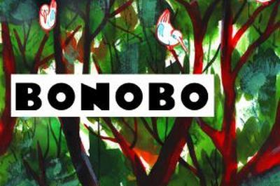 Bonobo  Mezidon Canon