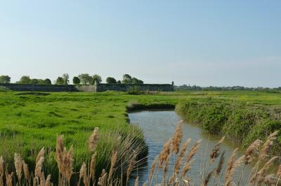 Brouage, riche d'histoire et de nature !  Marennes-Hiers-Brouage