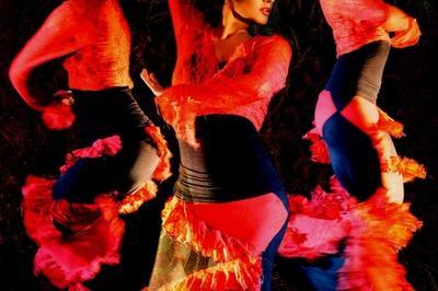 Cabaret Tablao Flamenco Gispy  Lyon