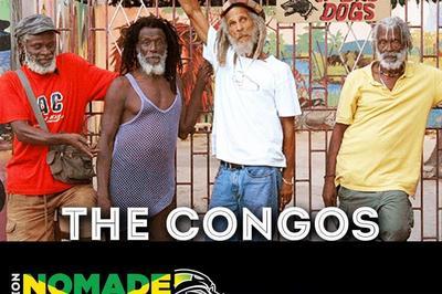 Capleton, The Congos, Blaiz Fayah à Anglefort
