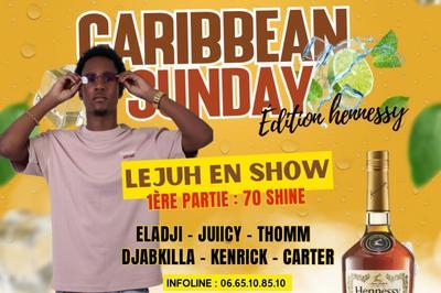 Caribbean Sunday LejuH en Show  Vitry sur Seine