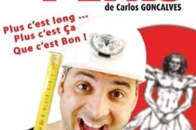 Carlos Goncalves Dans Les Monologues Du Pnis  Decines Charpieu