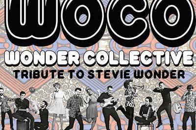 WOCO Tribute to Stevie Wonder  Villeurbanne