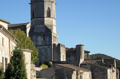 Castrum vivariensis - une histoire de cathdrale  Viviers