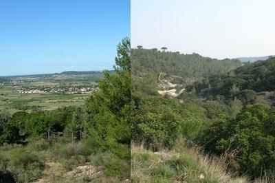 Caveirac, par Monts et Valles : de la Fons d'Arques au chemin des crtes